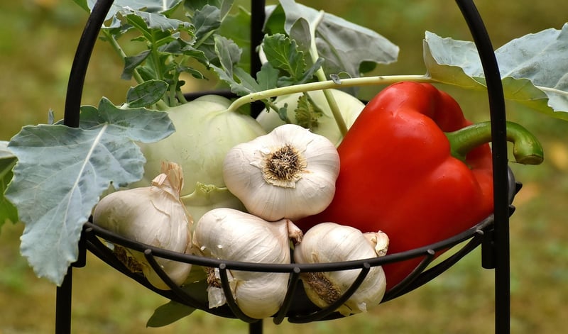 Farm-to-Table Experiences